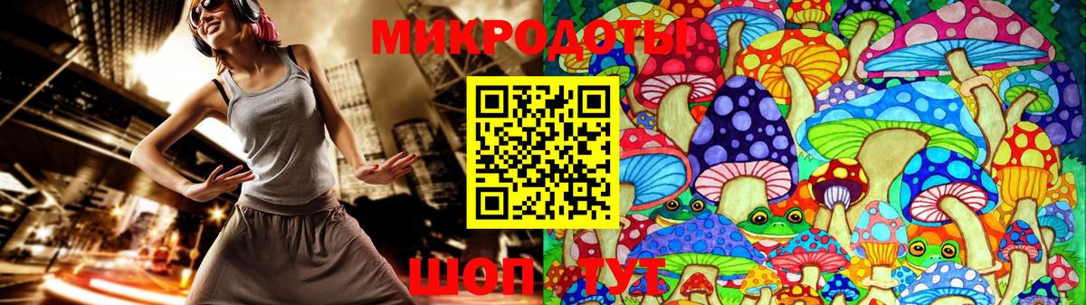 Галлюциногенные грибы мухоморы Великий Устюг
