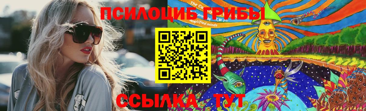 даркнет сайт  Псилоцибиновые грибы мухоморы  Вход с VPN  Великий Устюг  Галлюциногенные грибы мухоморы 
